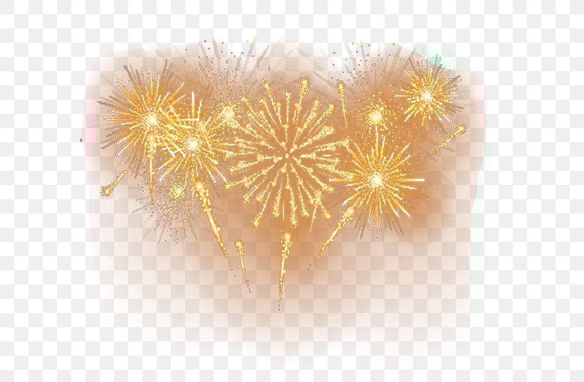 Fireworks Pyrotechnics, PNG, 649x537px, Fireworks, Adobe Fireworks, Drawing, Fire, Gratis Download Free