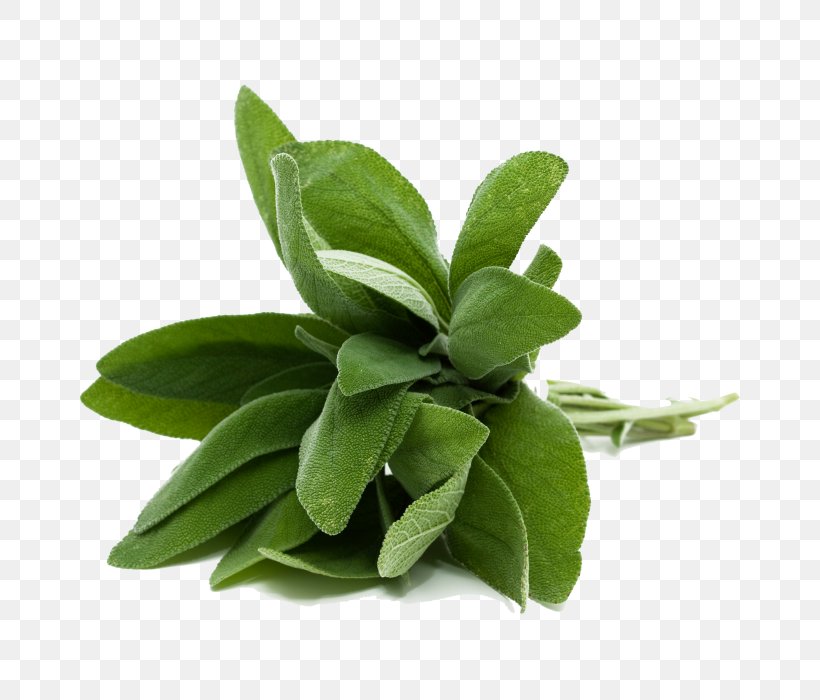 French Fries Common Sage Herb Food Basil, PNG, 700x700px, French Fries, Basil, Common Sage, Cooking, Flavor Download Free