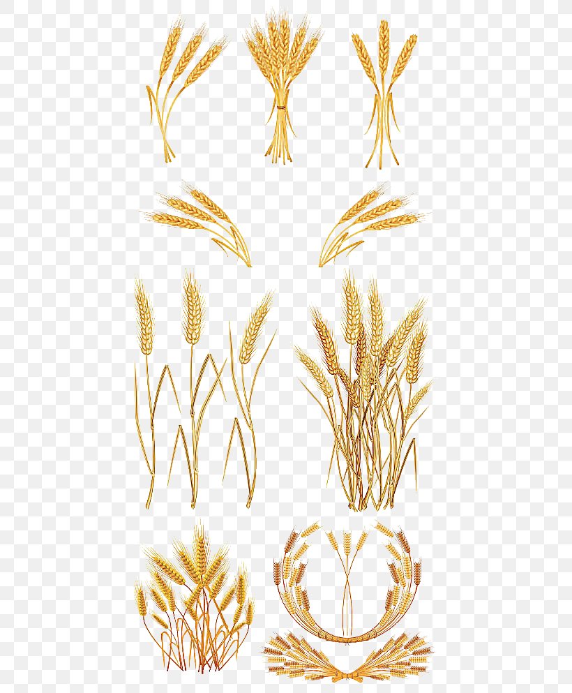 Gold Wheat Clip Art, PNG, 437x993px, Gold, Commodity, Film, Flowering Plant, Food Download Free