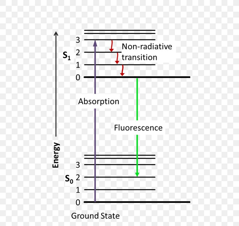 Light Fluorescence Spectroscopy Jablonski Diagram, PNG, 512x774px, Light, Absorption, Area, Diagram, Emission Spectrum Download Free