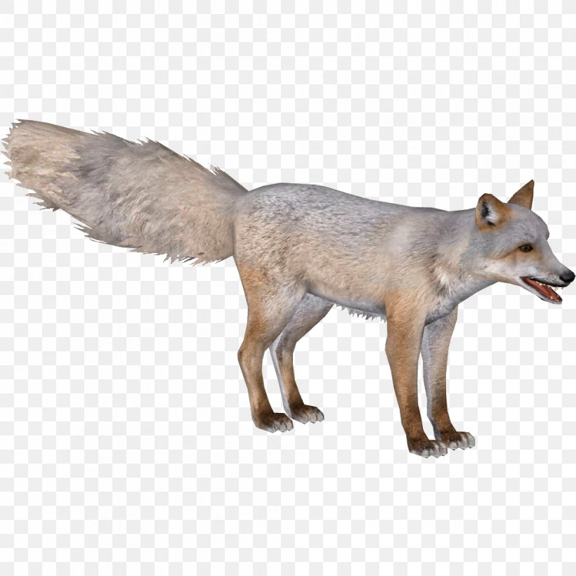 Zoo Tycoon 2 Red Fox Corsac Fox Blanford's Fox Gray Wolf, PNG, 993x993px, Zoo Tycoon 2, Animal, Austroraptor, Canidae, Carnivora Download Free