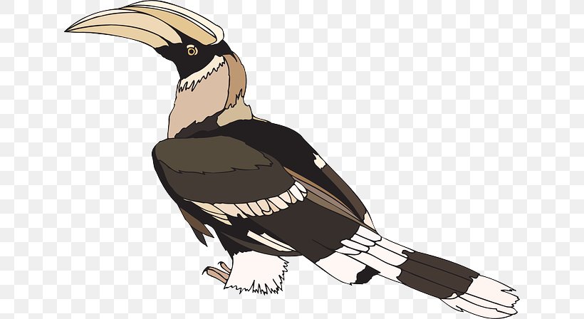 Bird Clip Art Hornbill Openclipart Image, PNG, 640x448px, Bird, Beak, Bird Of Prey, Eagle, Fauna Download Free