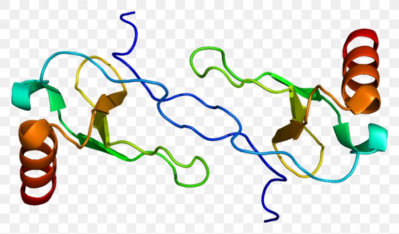 CCL4 CC Chemokine Receptors Wikipedia Macrophage Inflammatory Protein, PNG, 888x522px, Chemokine, Area, Artwork, Carbon Tetrachloride, Cc Chemokine Receptors Download Free