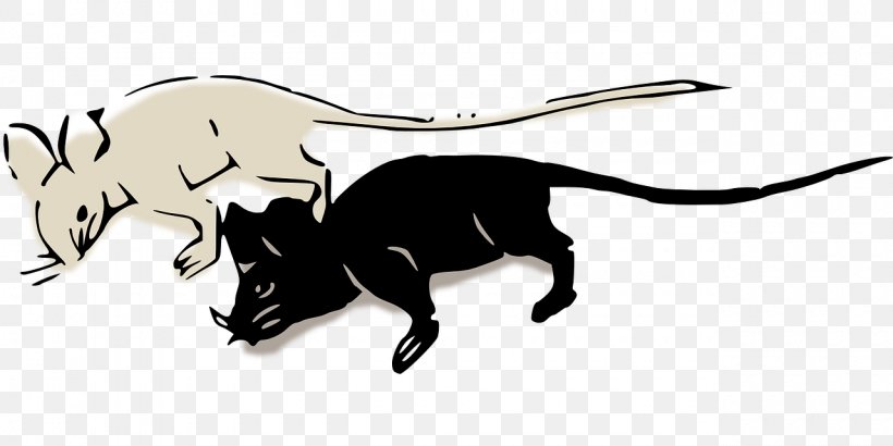 Computer Mouse Rat Clip Art, PNG, 1280x640px, Computer Mouse, Animal, Art, Black And White, Carnivoran Download Free