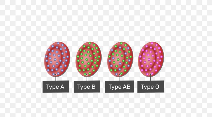 Duffy Antigen System Blood Type Red Blood Cell Human Blood Group Systems, PNG, 770x454px, Antigen, Abo, Blood, Blood Cell, Blood Type Download Free