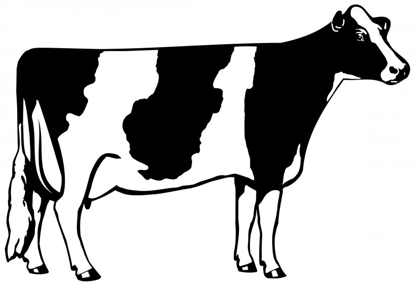 Holstein Friesian Cattle Beef Cattle Dairy Cattle Clip Art, PNG, 2310x1590px, Holstein Friesian Cattle, Beef Cattle, Black And White, Breed, Bulk Tank Download Free