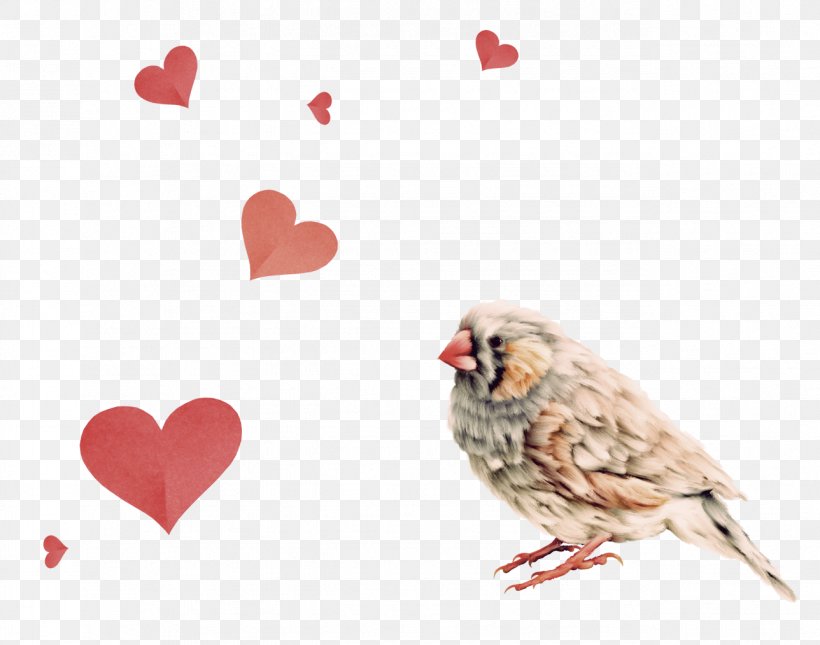 Lovebird Sparrow Parrot, PNG, 1288x1014px, Bird, Beak, Chicken, Eurasian Tree Sparrow, Feather Download Free