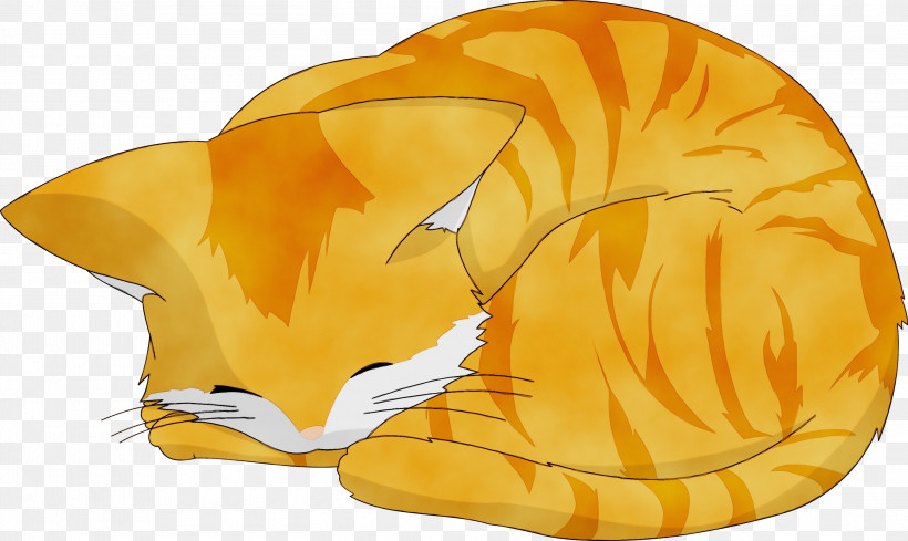 Cat Whiskers Ushio Okazaki Tomoya Okazaki Kitten, PNG, 3000x1792px, Watercolor, Animal, Cartoon, Cat, Clannad Download Free