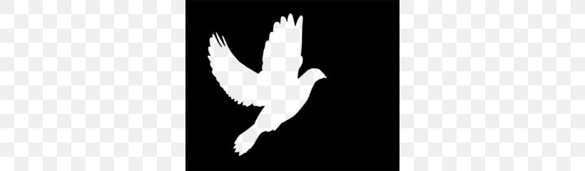 Columbidae Doves As Symbols Clip Art, PNG, 300x240px, Columbidae, Art, Beak, Bird, Black And White Download Free