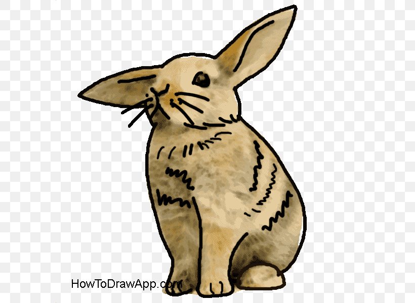 Domestic Rabbit Drawing Painting Hare Cartoon, PNG, 600x600px, Domestic Rabbit, Carnivoran, Cartoon, Dog Like Mammal, Drawing Download Free