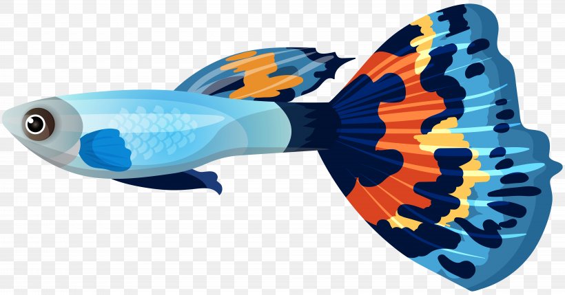 Guppy Goldfish Sailfin Molly Clip Art, PNG, 8000x4191px, Guppy, Aquarium, Drawing, Electric Blue, Fish Download Free