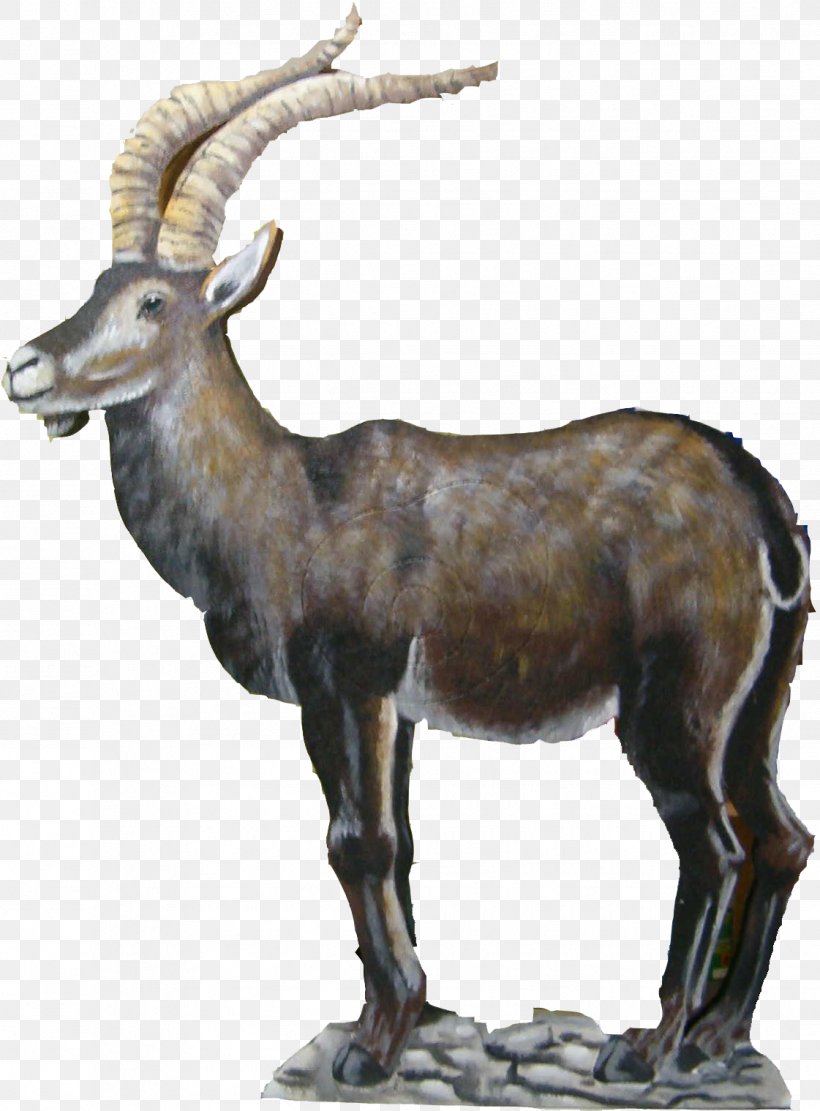 Iberian Ibex Deer Argali Alfacar Cabra, PNG, 1121x1519px, Iberian Ibex, Animal, Antelope, Argali, Bighorn Download Free