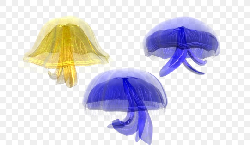 Jellyfish Marine Invertebrates Clip Art, PNG, 792x478px, Jellyfish, Animation, Blue, Coral, Marine Invertebrates Download Free