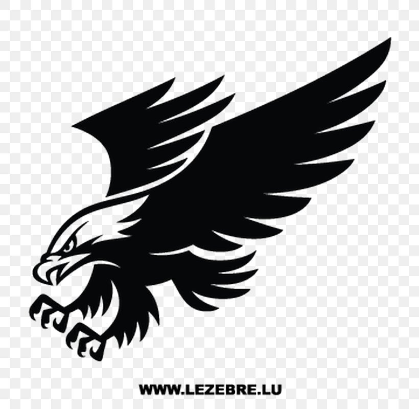 Car Decal Sticker Window Eagle, PNG, 800x800px, Car, Bald Eagle, Beak, Bird, Bird Of Prey Download Free