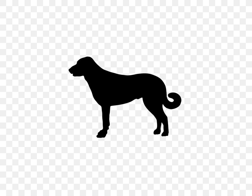 Dobermann Boxer Horse Pet Dog Breed, PNG, 640x640px, Dobermann, Black, Black And White, Boxer, Carnivoran Download Free