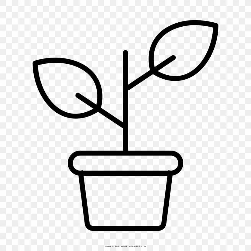 Drawing Plant Coloring Book Clip Art, PNG, 1000x1000px, Drawing, Area, Artwork, Black And White, Coloring Book Download Free