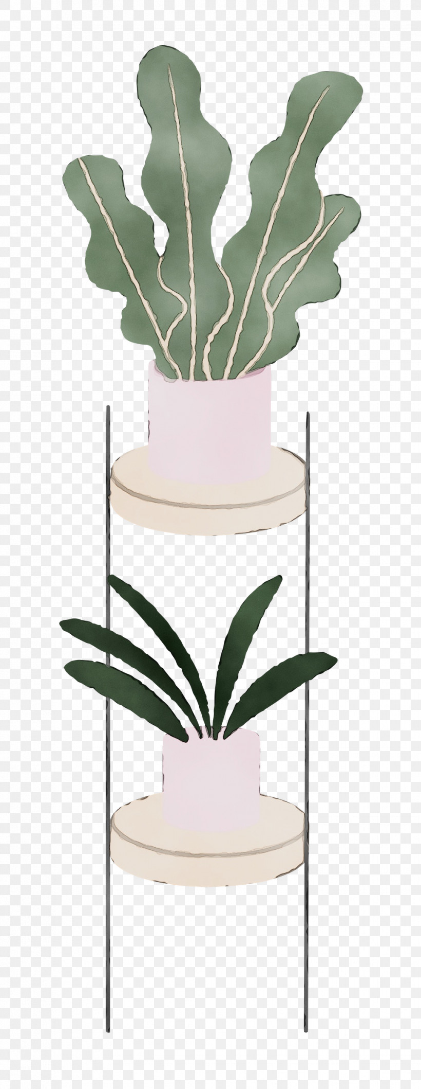 Plant Stem Leaf Flowerpot Flower Plant, PNG, 968x2500px, Watercolor, Biology, Flower, Flowerpot, Leaf Download Free