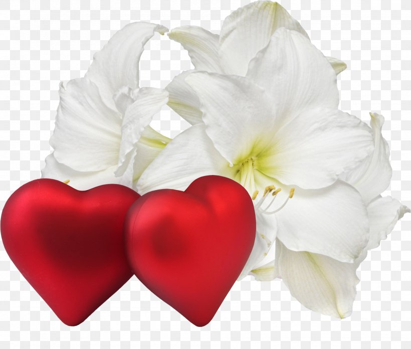 Romance Flower Love Heart Desktop Wallpaper, PNG, 1893x1609px, Romance, Amaryllis, Cut Flowers, Flower, Flower Bouquet Download Free