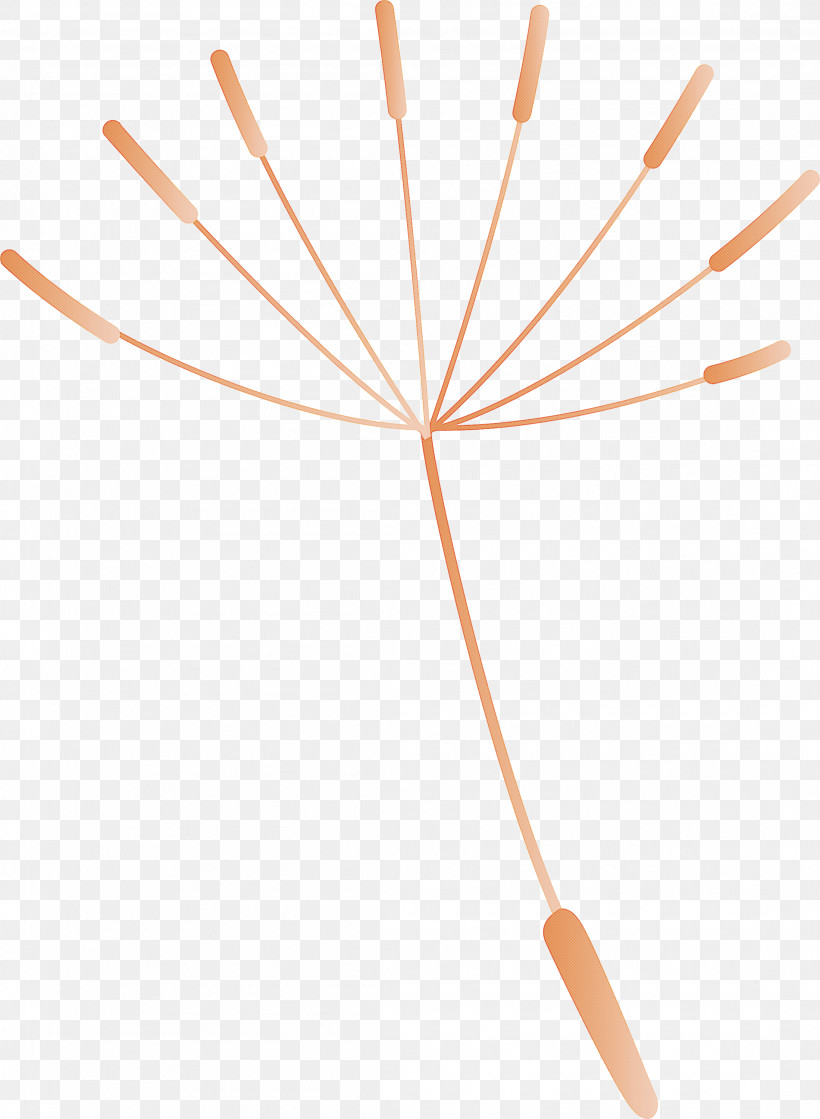 Dandelion, PNG, 2198x3000px, Dandelion, Geometry, Line, Mathematics, Meter Download Free