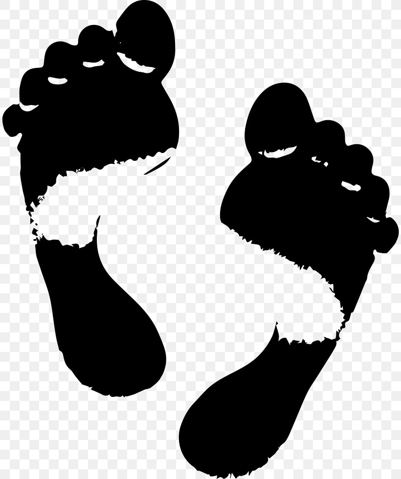 Footprint Image Vector Graphics Clip Art, PNG, 812x980px, Footprint, Blackandwhite, Foot, Shoe Download Free