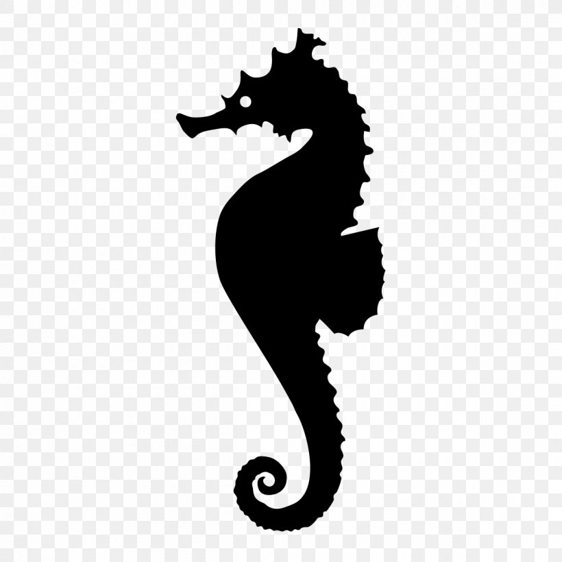 Seahorse Monochrome Photography Syngnathiformes, PNG, 1200x1200px, Seahorse, Animal, Black And White, Fish, Monochrome Download Free