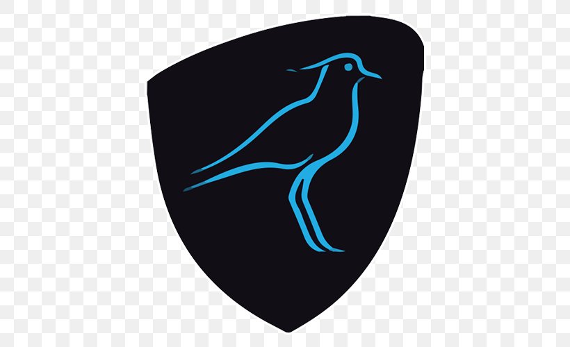 Uruguay National Rugby Union Team Rugby World Cup Americas Rugby Championship GIO Stadium Canberra, PNG, 500x500px, Uruguay National Rugby Union Team, Americas Rugby Championship, Beak, Bird, Brumbies Download Free