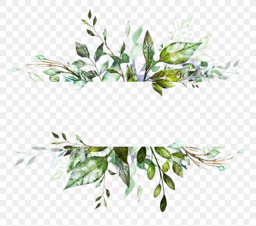 Watercolor: Flowers Watercolor Painting Vector Graphics Illustration Drawing, PNG, 3500x3090px, Watercolor Flowers, Art, Botany, Branch, Drawing Download Free