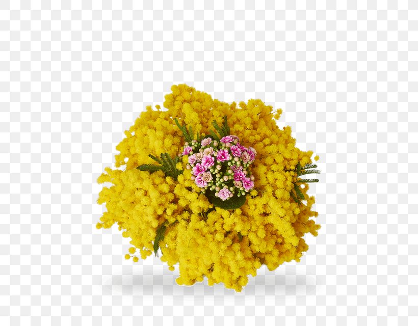 Cut Flowers Acacia Dealbata International Women's Day Floristry, PNG, 480x640px, 8 March, Cut Flowers, Acacia Dealbata, Chrysanthemum, Chrysanths Download Free