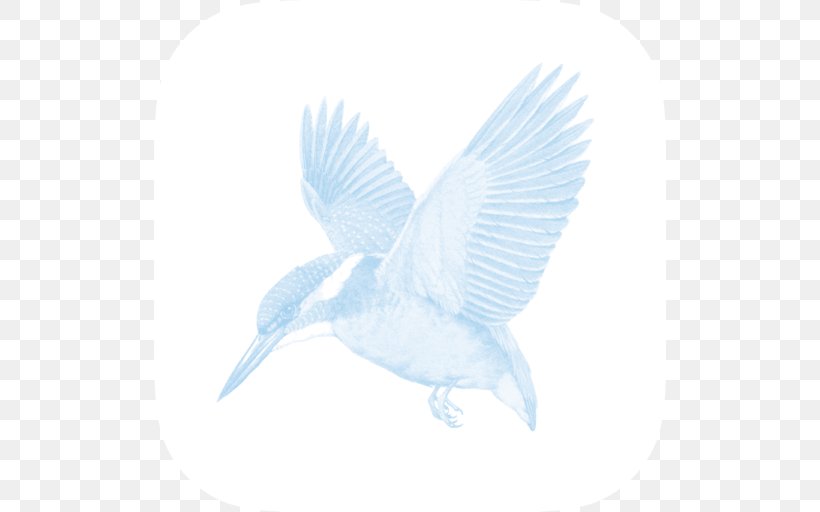 Beak Bird Wing Feather Kingfisher, PNG, 512x512px, Beak, Bird, Fauna, Feather, Kingfisher Download Free