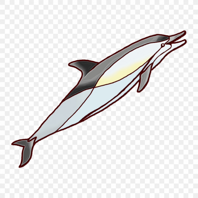 Dolphin Fish Line Biology Science, PNG, 1400x1400px, Watercolor, Biology, Dolphin, Fish, Line Download Free