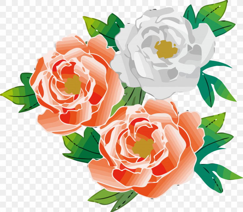 Garden Roses, PNG, 3000x2619px, Flower, Cut Flowers, Garden Roses, Petal, Pink Download Free