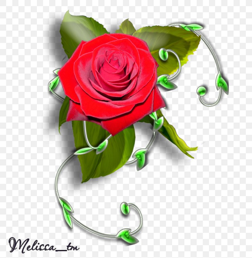 Garden Roses Floral Design Cut Flowers, PNG, 800x842px, Garden Roses, Artificial Flower, Cut Flowers, Drawing, Floral Design Download Free