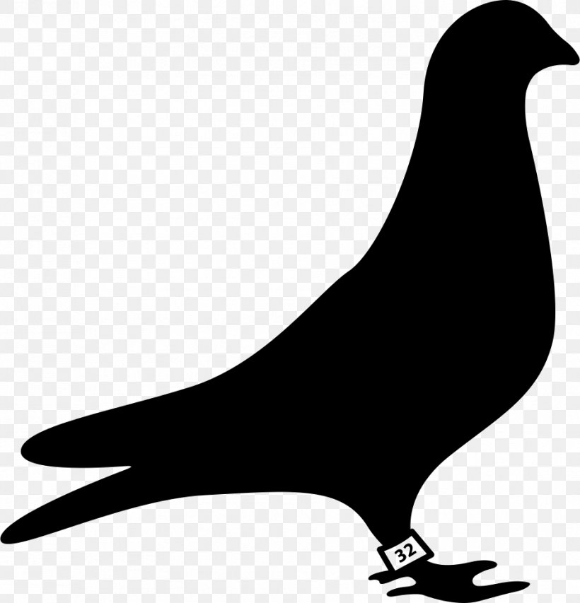 Pigeons And Doves Homing Pigeon Bird Vector Graphics Pigeon Racing, PNG, 942x980px, Pigeons And Doves, Beak, Bird, Black And White, Fauna Download Free