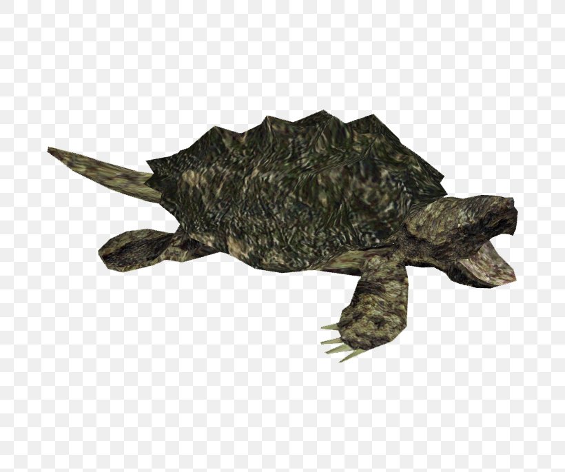 Common Snapping Turtle Alligator Snapping Turtle, PNG, 685x685px, Turtle, Alligator, Alligator Snapping Turtle, Box Turtle, Chelydridae Download Free