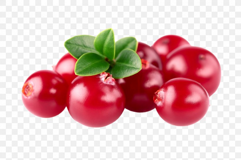 Cranberry Barbados Cherry Zante Currant Lingonberry Huckleberry, PNG, 1000x667px, Watercolor, Cartoon, Flower, Frame, Heart Download Free