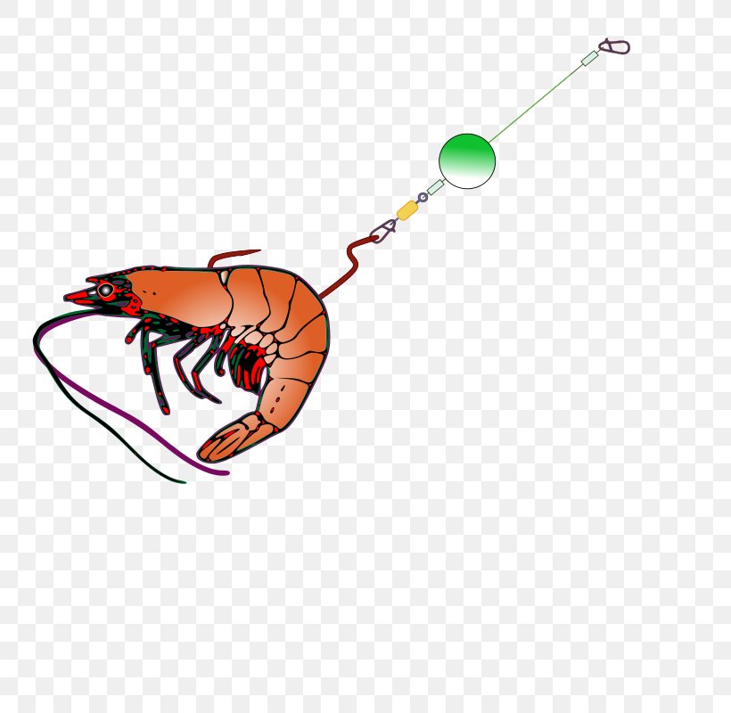 Fishing Bait Fish Hook Clip Art, PNG, 800x800px, Fishing Bait, Bait, Bait Fish, Bass Fishing, Finger Download Free