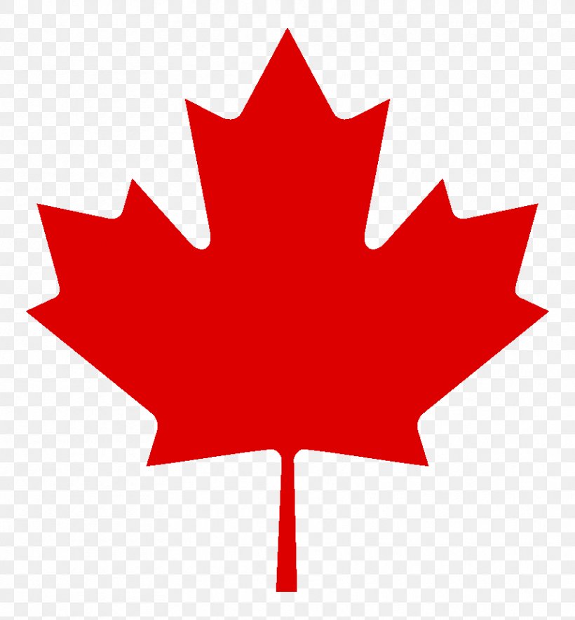 Flag Of Canada Red Maple Sugar Maple Maple Leaf, PNG, 858x927px, Canada, Flag Of Canada, Flower, Flowering Plant, Leaf Download Free
