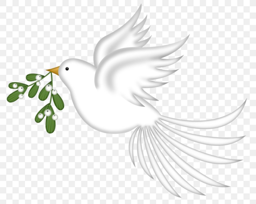 Rock Dove Columbidae Bird Doves As Symbols, PNG, 800x654px, Rock Dove, Beak, Bird, Black And White, Branch Download Free