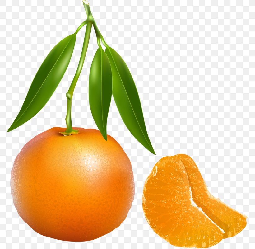 Tangerine Mandarin Orange Clip Art, PNG, 775x800px, Tangerine, Art, Bitter Orange, Chenpi, Citrus Download Free