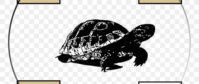 Box Turtles Tortoise Sea Turtle Last Bell, PNG, 1170x500px, Box Turtles, Animal, Black And White, Box Turtle, Cartoon Download Free