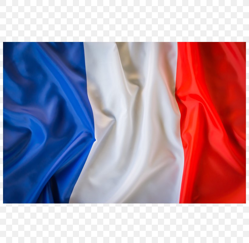 Flag Of France National Flag Language School, PNG, 800x800px, France, Blue, Electric Blue, Europe, Flag Download Free
