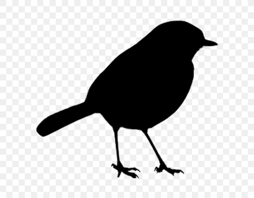 Bird Beak Blackbird Perching Bird Songbird, PNG, 640x640px, Bird, Beak, Blackbird, Crowlike Bird, New Caledonian Crow Download Free