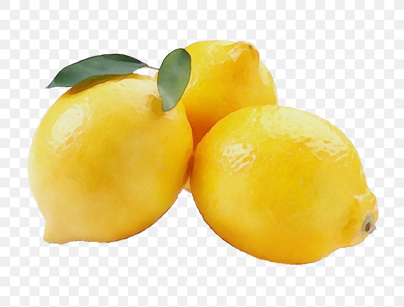 Lemon Fruit Yellow Food Plant, PNG, 772x622px, Watercolor, Citrus, Food, Fruit, Lemon Download Free