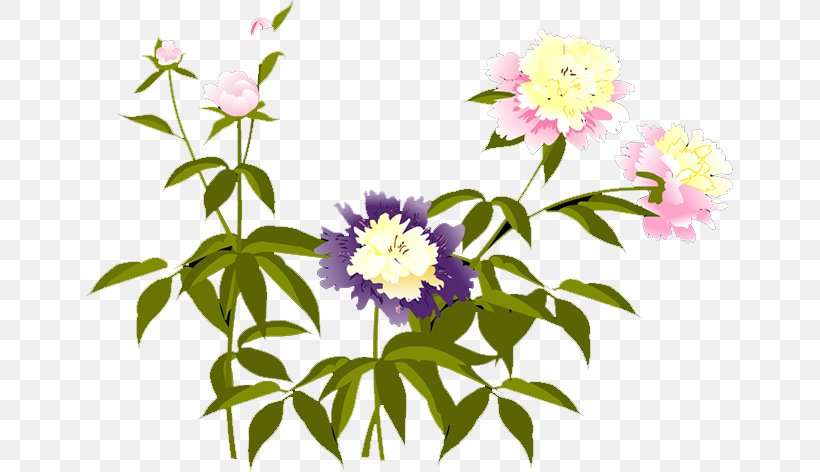 U557cu7b11u7686u975e Floral Design Between Tears And Laughter Literature, PNG, 649x472px, Floral Design, Baidu Baike, Book, Creative Work, Flora Download Free