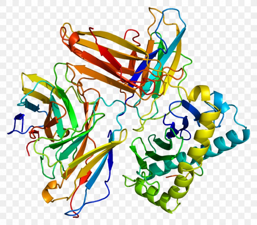 CD8A Protein HLA-A Cluster Of Differentiation, PNG, 913x801px, Protein, Antigen, Area, Cd8, Cluster Of Differentiation Download Free