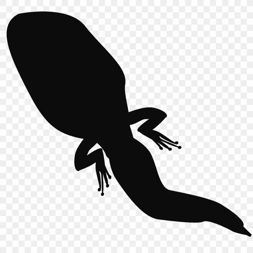 Frog Silhouette Tadpole Amphibian, PNG, 1000x1000px, Frog, Amphibian, Beak, Black And White, Fauna Download Free
