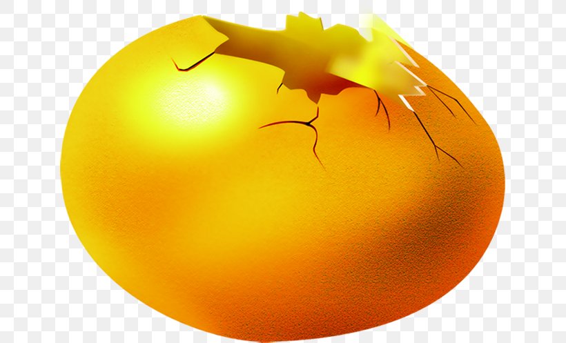 Golden Egg Download, PNG, 645x497px, Golden Egg, Calabaza, Egg, Food, Fruit Download Free