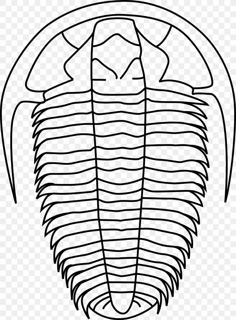 Book Drawing, PNG, 1414x1920px, Trilobite, Blackandwhite, Calymene, Coloring Book, Drawing Download Free