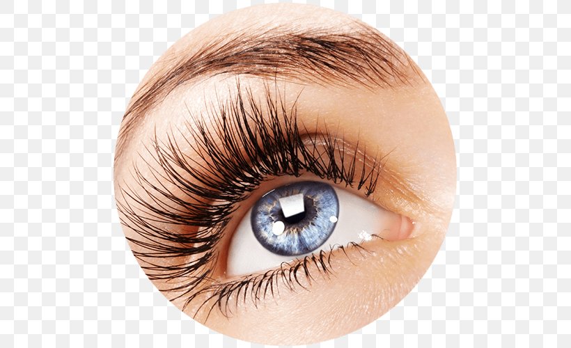 Eyelash Extensions Beauty Parlour Hair Coloring Mascara, PNG, 500x500px, Eyelash Extensions, Artificial Nails, Beauty Parlour, Close Up, Cosmetics Download Free