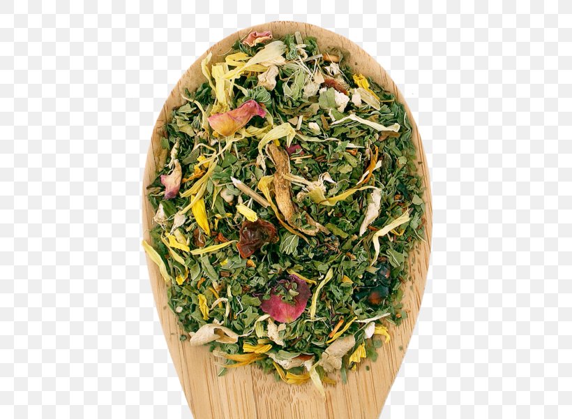 Leaf Vegetable Vegetarian Cuisine Herb Recipe Salad, PNG, 521x600px, Leaf Vegetable, Dish, Food, Herb, La Quinta Inns Suites Download Free